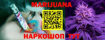 шишки Новокубанск