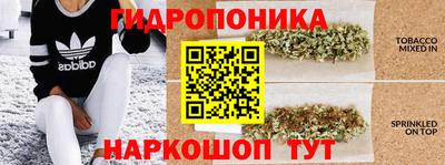 шишки Новокубанск